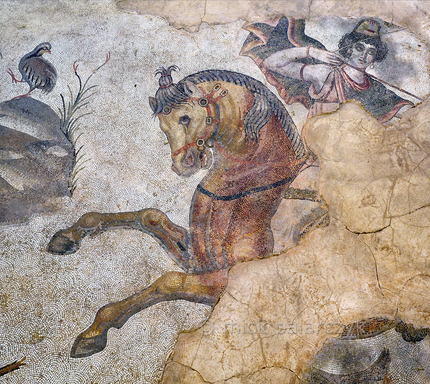  Penthesileiea'yı at üstünde avlanıp ok atarken gösteren bu mozaik MS 6. yüzyıla ait, Haleplibahçe Mozaik Müzesi, Şanlı Urfa.

Amazonlar