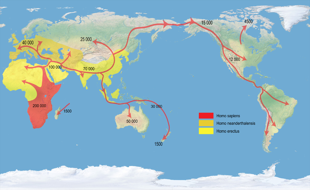 Homo Sapiens'in Dünyaya yayılma sürecini gösteren bir harita
İnsanlar
