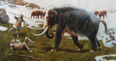 Buzul Çağı - Mamut Avı